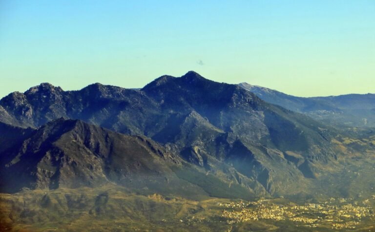 100968177 1686399031513296 6970931130581123072 n