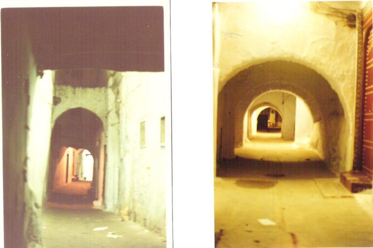 lead technologies inc. v1.01