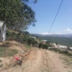 349008876 1308348573432501 5937015244777866316 n