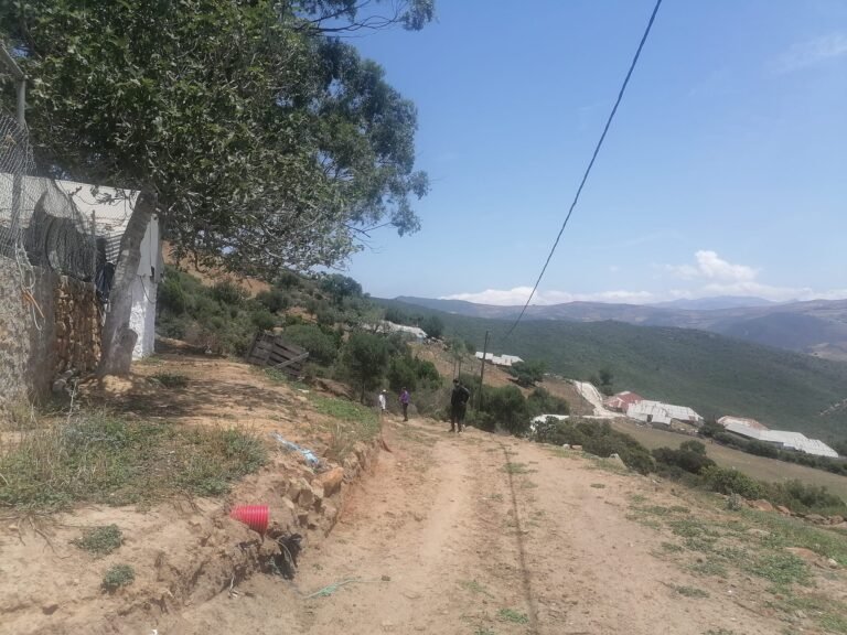 349008876 1308348573432501 5937015244777866316 n