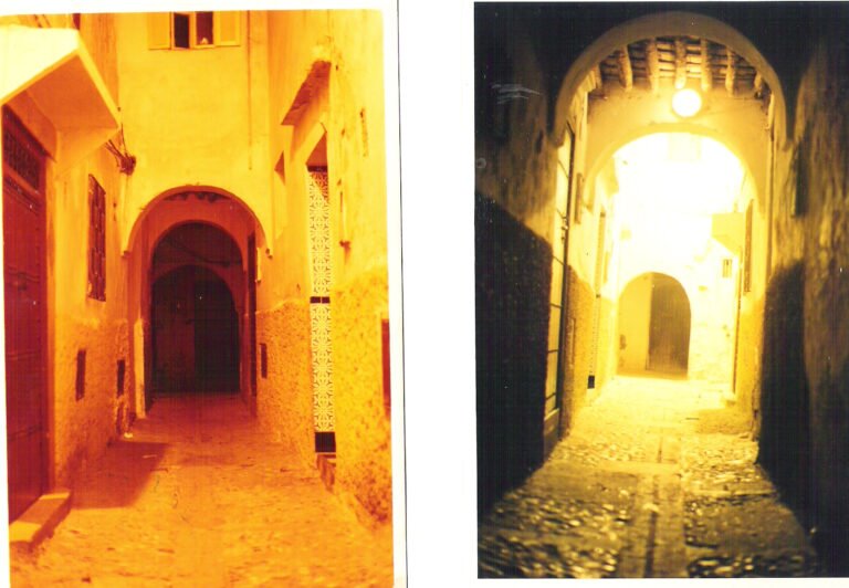 lead technologies inc. v1.01