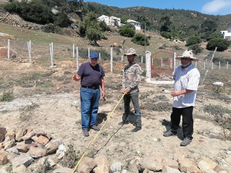 350788644 3077312562409738 6795305912090530563 n