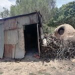 351451676 554721250193766 9147490796058595051 n