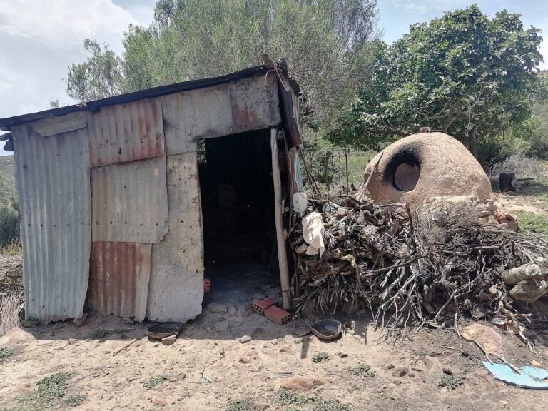 351451676 554721250193766 9147490796058595051 n