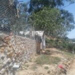 352098377 110073948768287 3399381228866174145 n