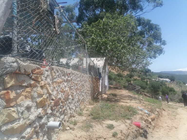 352098377 110073948768287 3399381228866174145 n