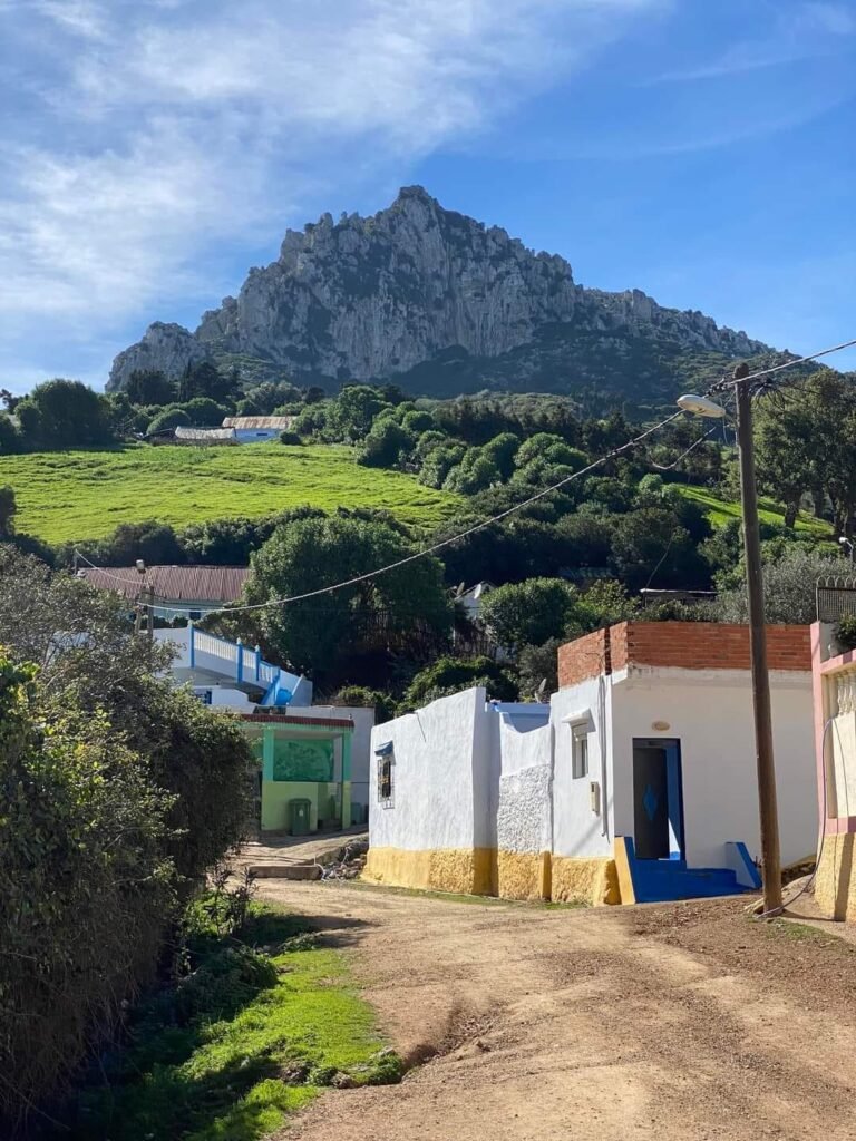 486279573 1201317391993390 828140794418699042 n