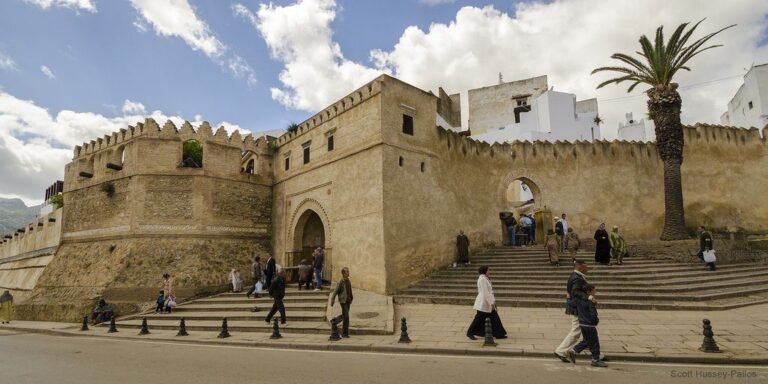 53608f2b9e623e6d98b010ab82d86638