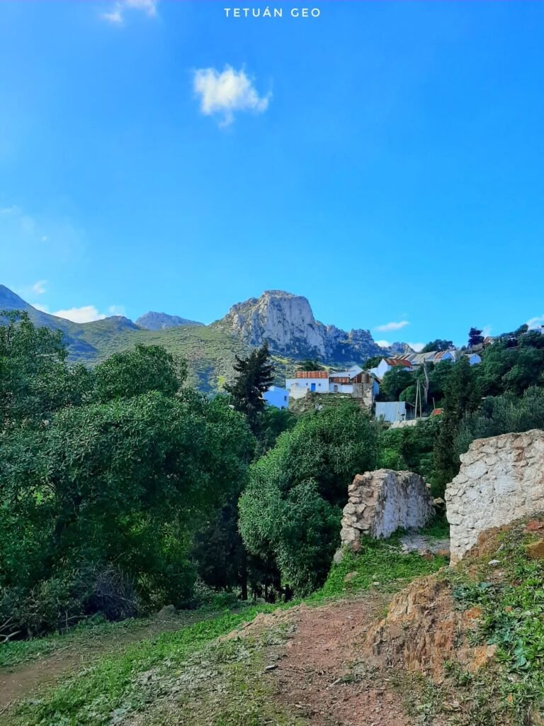 538815306 1336817265110068 8810573405873920358 n