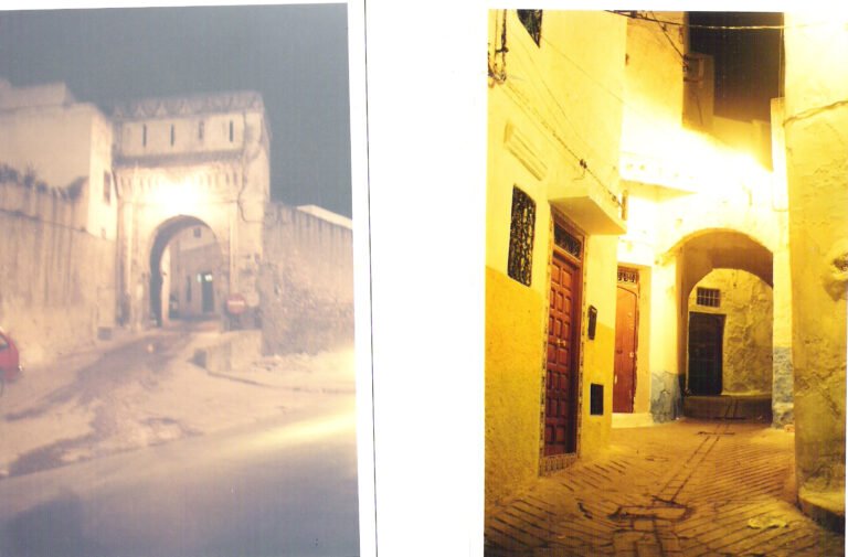 lead technologies inc. v1.01