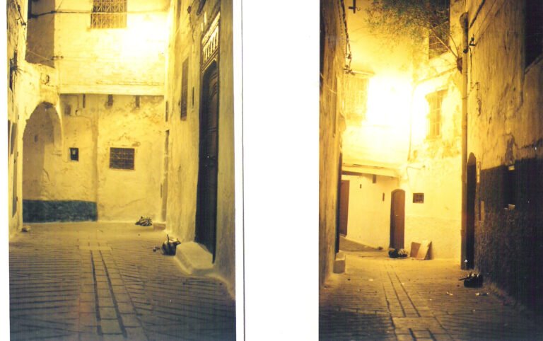 lead technologies inc. v1.01