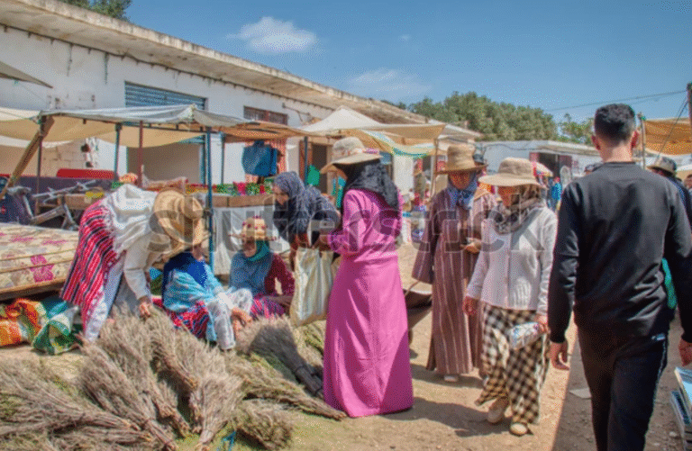 capture d’écran 2025 11 23 à 17.03.08
