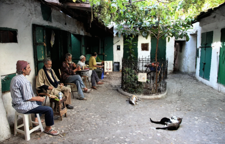 capture d’écran 2025 11 27 à 15.38.15