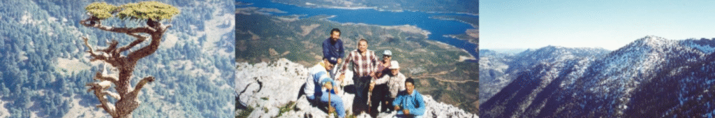 capture d’écran 2025 11 27 à 17.20.01