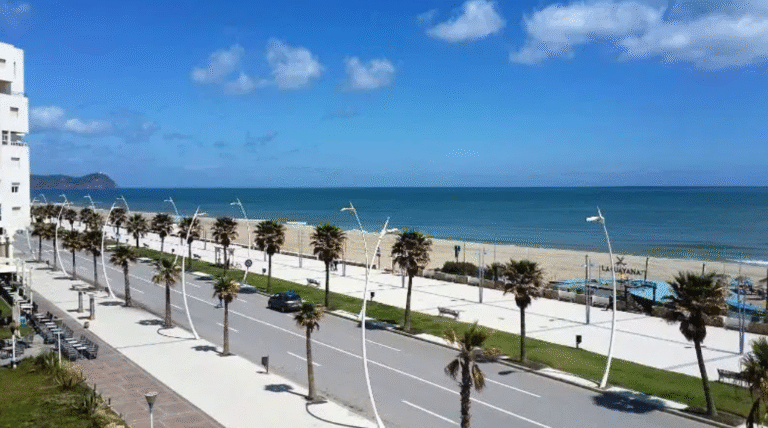 capture d’écran 2025 11 28 à 14.26.05