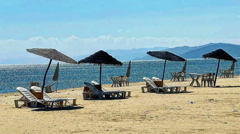 capture d’écran 2025 11 28 à 14.33.15