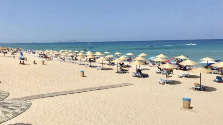 capture d’écran 2025 11 28 à 14.51.55