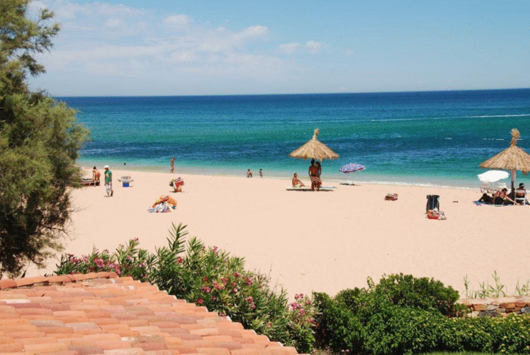 capture d’écran 2025 11 28 à 15.01.58