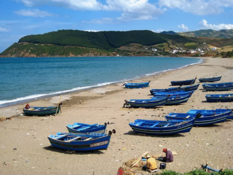 capture d’écran 2025 11 28 à 15.08.26