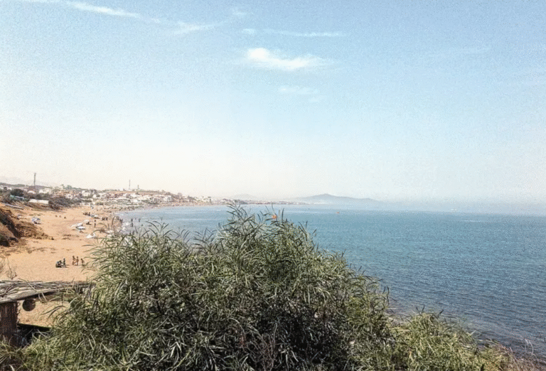 capture d’écran 2025 11 28 à 15.08.31