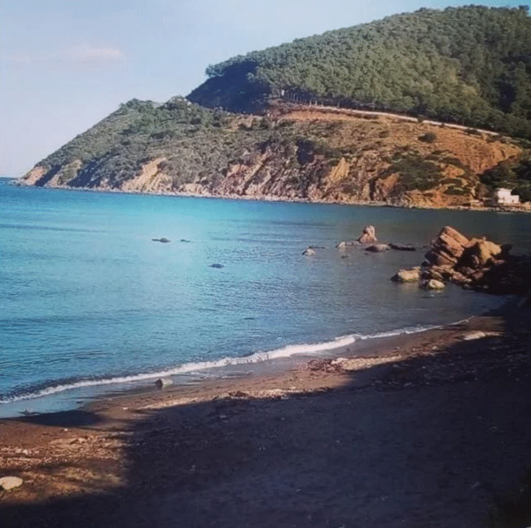 capture d’écran 2025 11 28 à 15.08.38