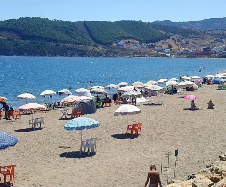 capture d’écran 2025 11 28 à 15.09.10