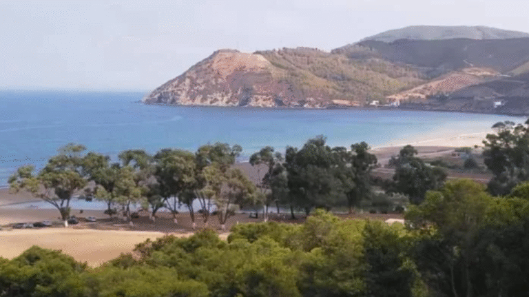 capture d’écran 2025 11 28 à 15.15.34