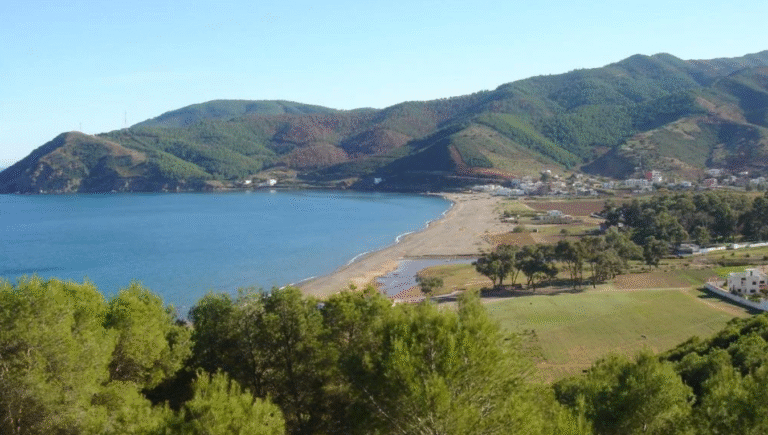 capture d’écran 2025 11 28 à 15.15.49