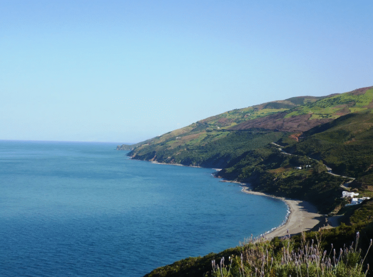 capture d’écran 2025 11 28 à 15.19.21