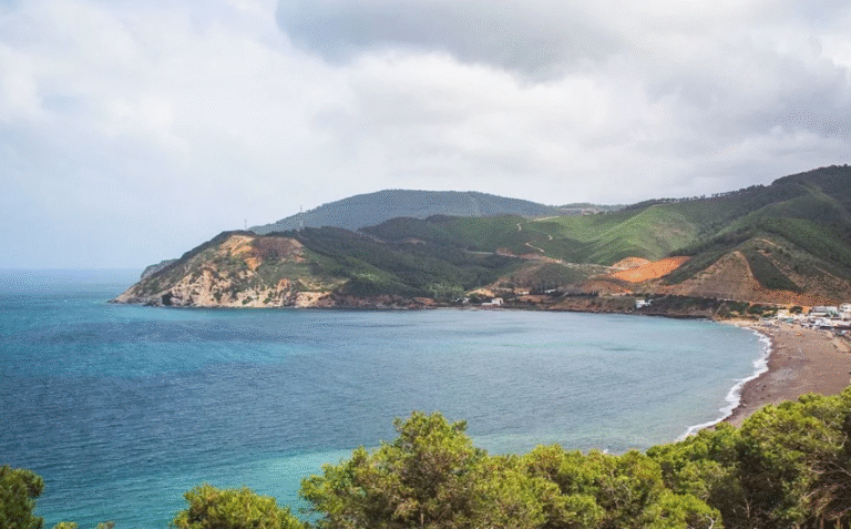 capture d’écran 2025 11 28 à 15.19.30