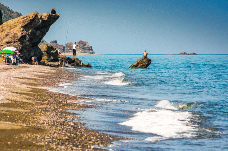 capture d’écran 2025 11 28 à 15.22.34