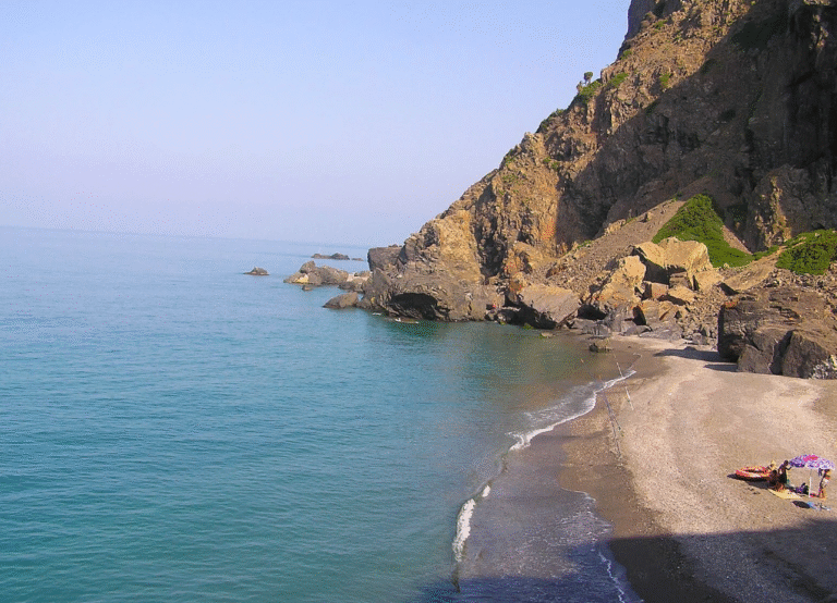 capture d’écran 2025 11 28 à 15.22.51