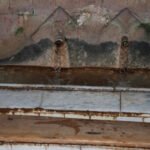 mosque sidi ali baraka10