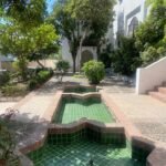 whatsapp image 2025 11 19 at 22.09.02