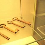 whatsapp image 2025 11 19 at 23.00.03