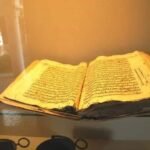 whatsapp image 2025 11 19 at 23.00.05