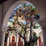 whatsapp image 2025 11 19 at 23.00.05 (4)