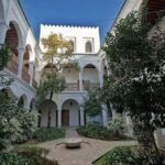 whatsapp image 2025 11 19 at 23.00.07 (2)