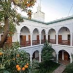 whatsapp image 2025 11 19 at 23.00.08