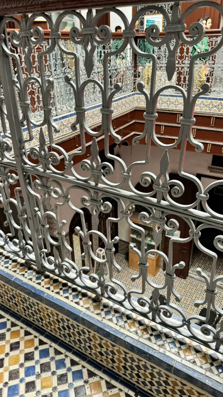 whatsapp image 2025 11 24 at 14.18.14