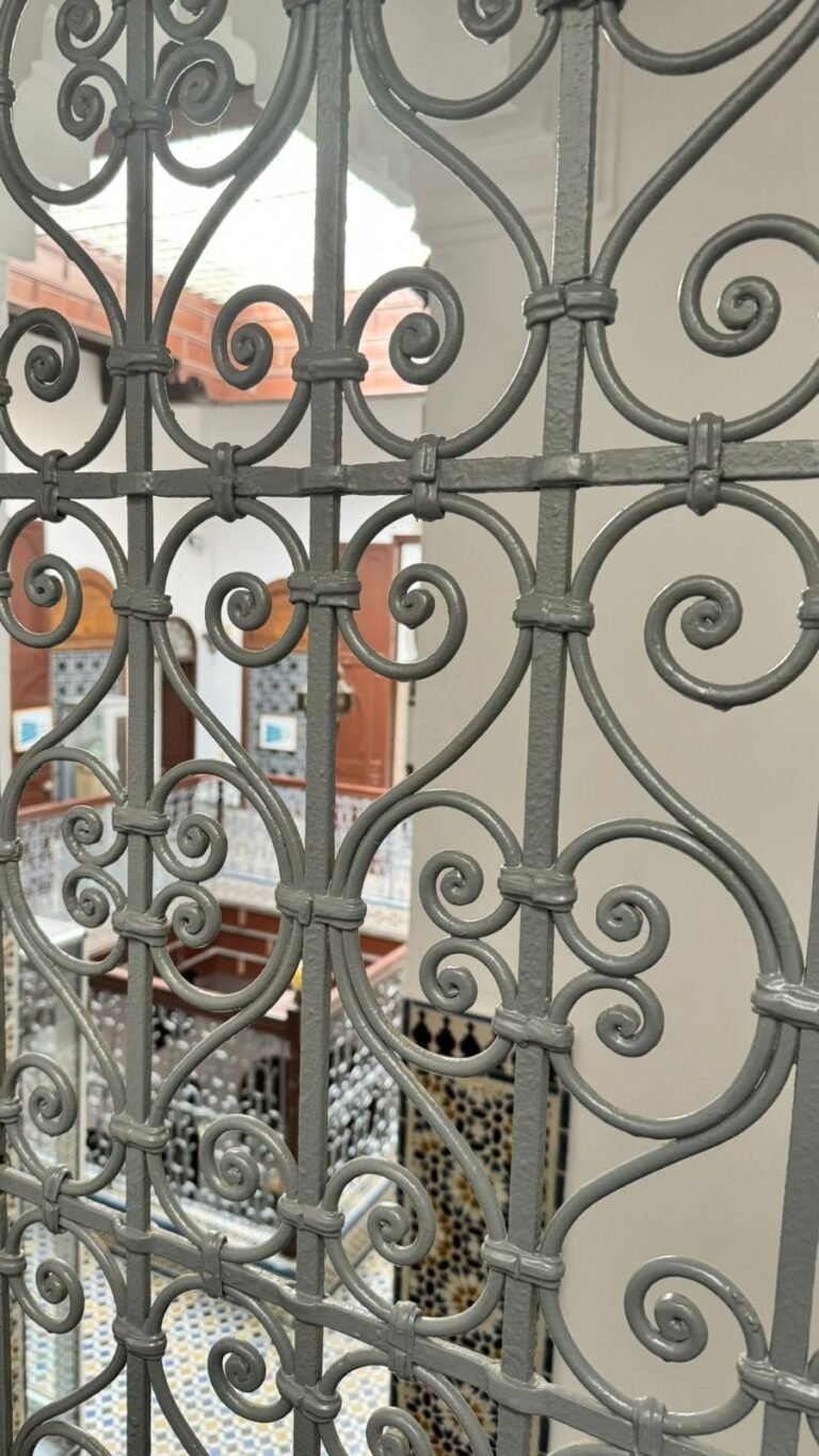 whatsapp image 2025 11 24 at 14.18.15 (1)