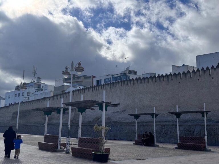 whatsapp image 2025 11 26 at 16.18.37 (10)