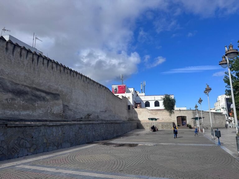 whatsapp image 2025 11 26 at 16.18.37 (11)