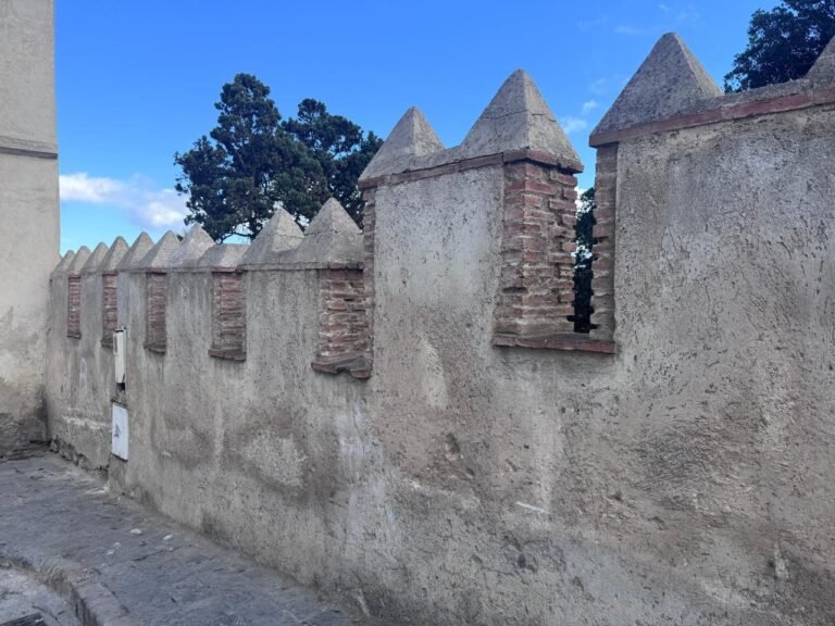 whatsapp image 2025 11 26 at 16.18.37 (16)