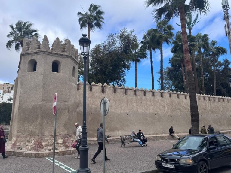 whatsapp image 2025 11 26 at 16.18.37 (2)