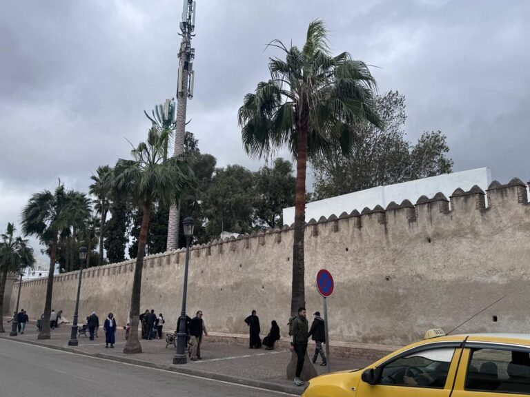 whatsapp image 2025 11 26 at 16.18.37 (4)