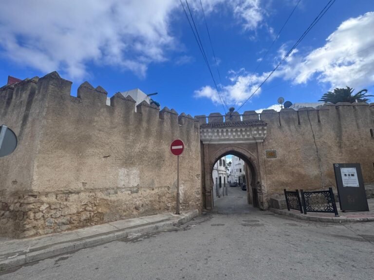 whatsapp image 2025 11 26 at 16.18.37 (7)