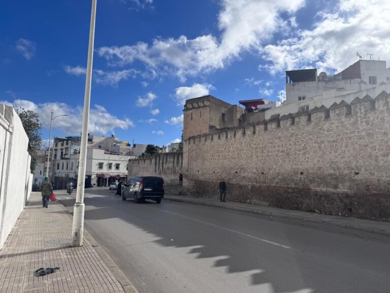 whatsapp image 2025 11 26 at 16.18.37 (8)