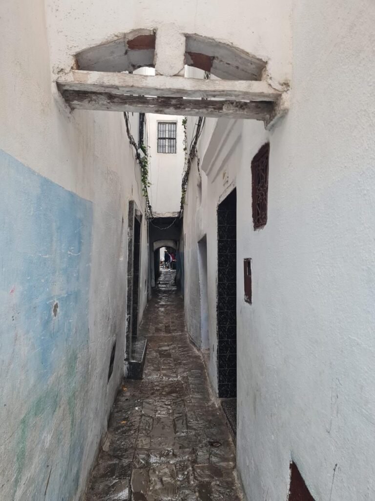 whatsapp image 2025 11 26 at 16.38.49