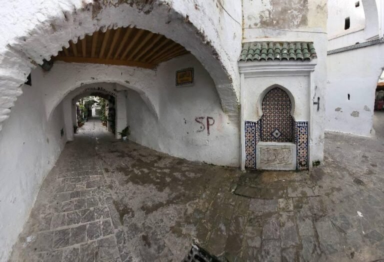 whatsapp image 2025 11 26 at 16.38.57 (1)